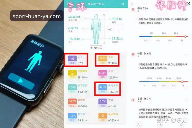 技术控实测：环亚体育深度沉浸使用指南，从下载到畅玩的完整心得